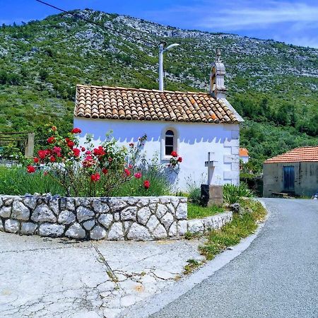 Countryside Vacation House Vitez Babino Polje Dış mekan fotoğraf