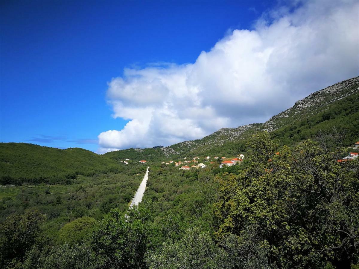 Countryside Vacation House Vitez Babino Polje Dış mekan fotoğraf