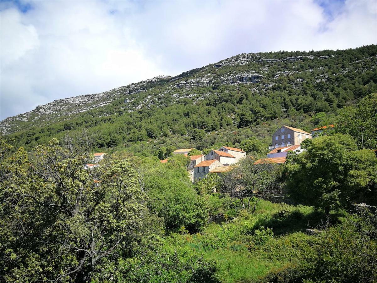 Countryside Vacation House Vitez Babino Polje Dış mekan fotoğraf