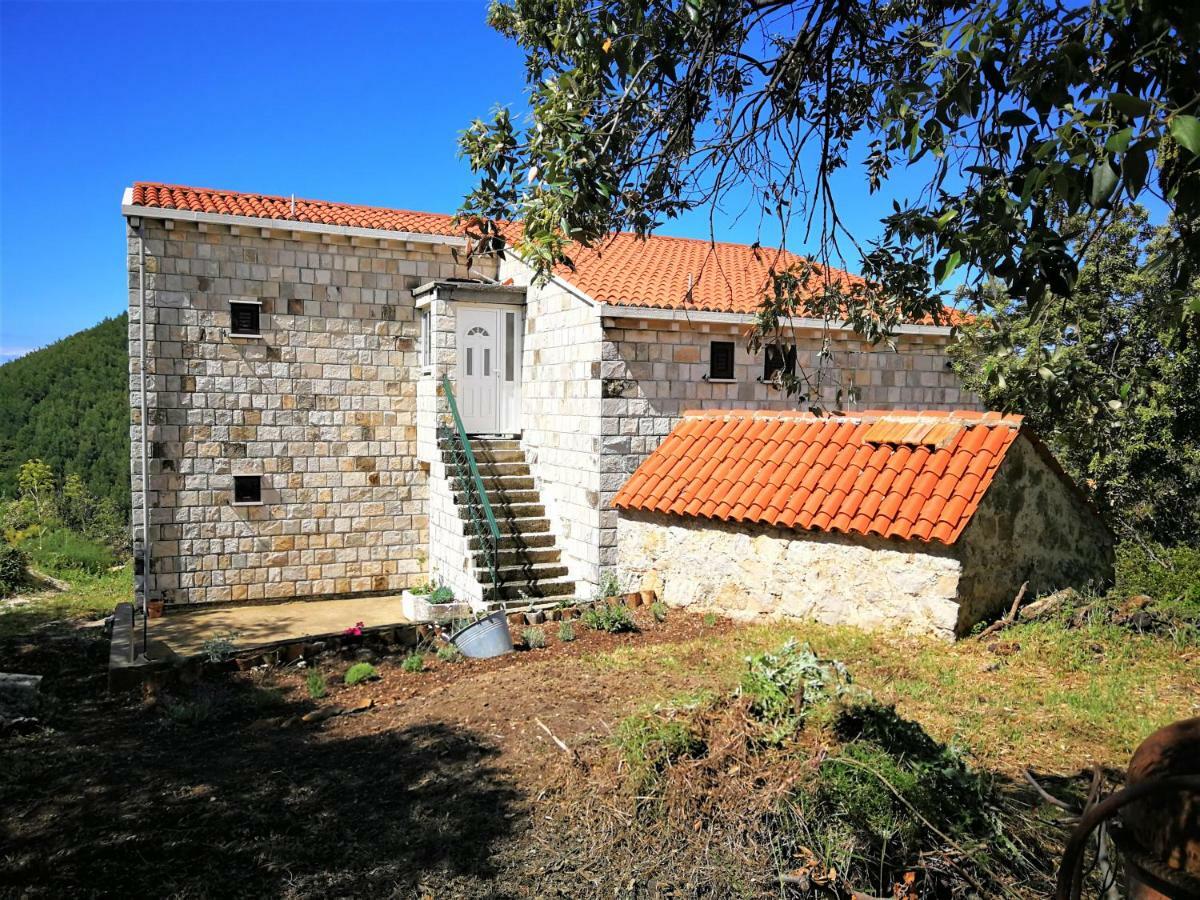 Countryside Vacation House Vitez Babino Polje Dış mekan fotoğraf