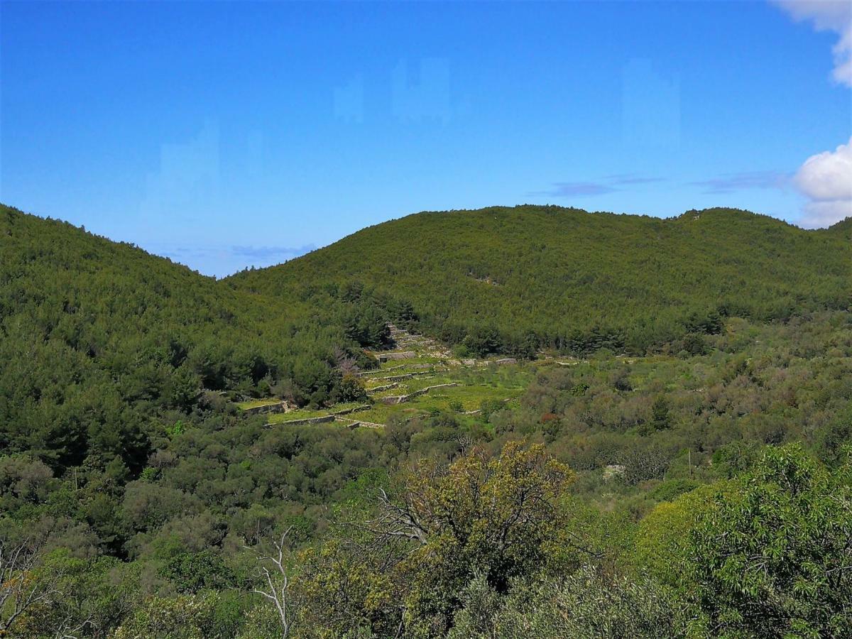 Countryside Vacation House Vitez Babino Polje Dış mekan fotoğraf