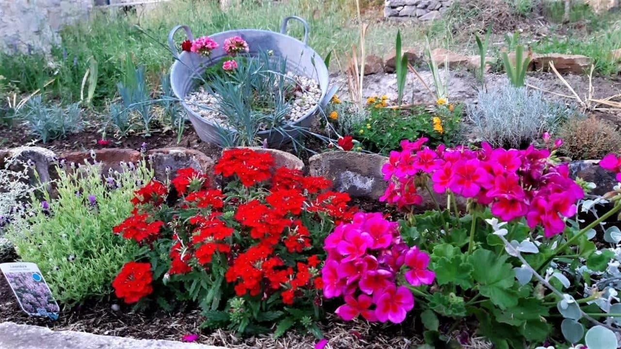 Countryside Vacation House Vitez Babino Polje Dış mekan fotoğraf