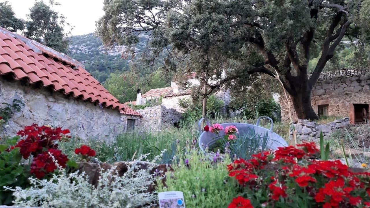 Countryside Vacation House Vitez Babino Polje Dış mekan fotoğraf
